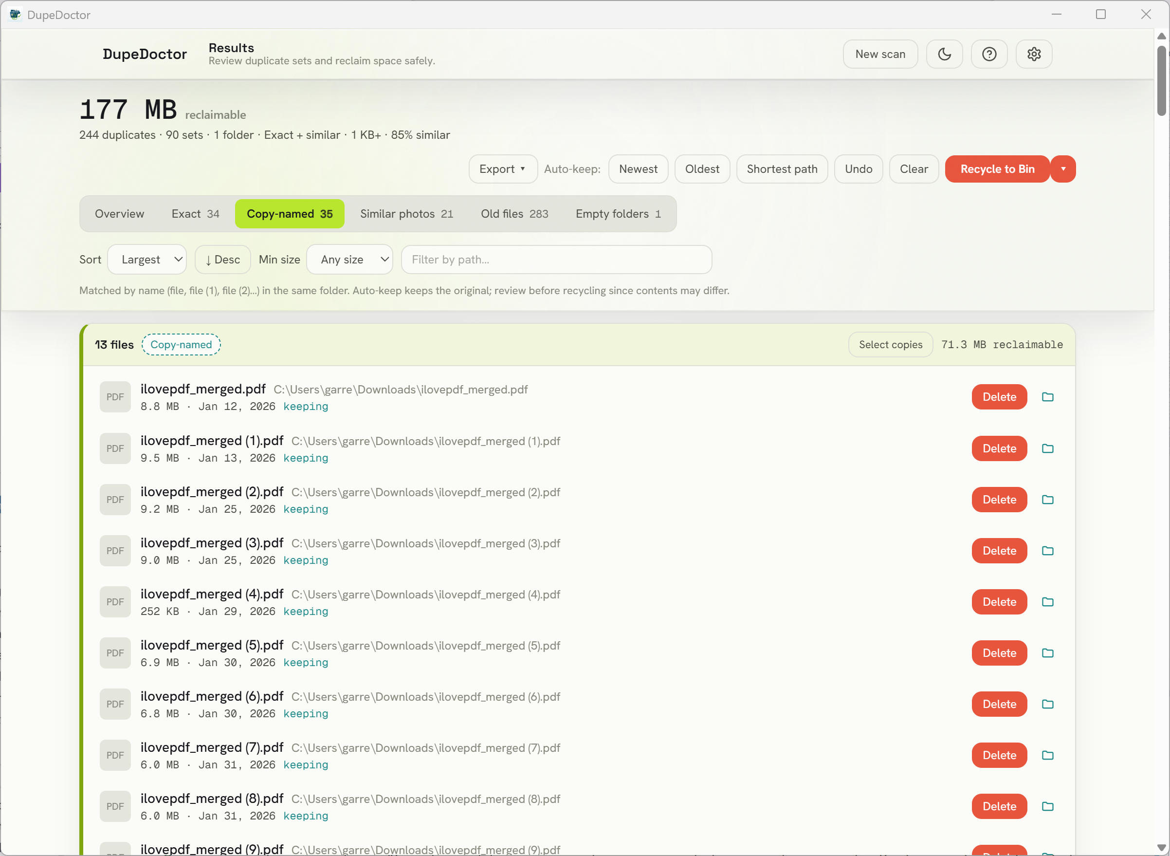 DupeDoctor copy-named detection grouping files like document (1) and Copy of document together.